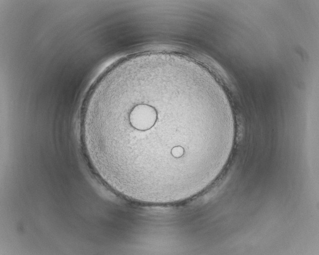 X0000115030836200911231111