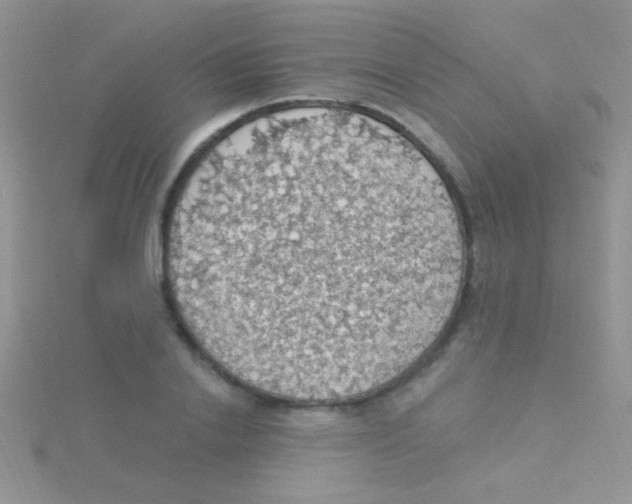 X0000115030838200911231111