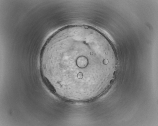 X0000115030839200911231111