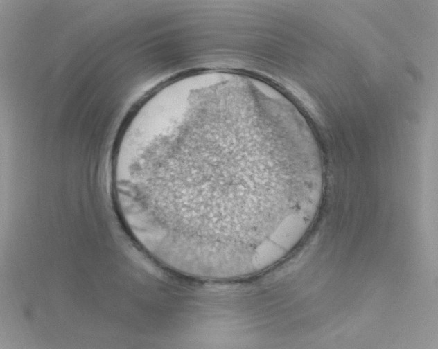 X0000115030840200911231111