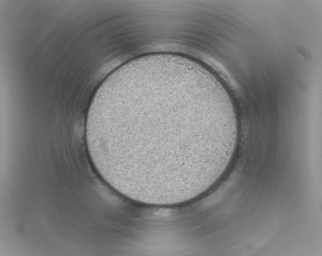 X0000115030841200911231111