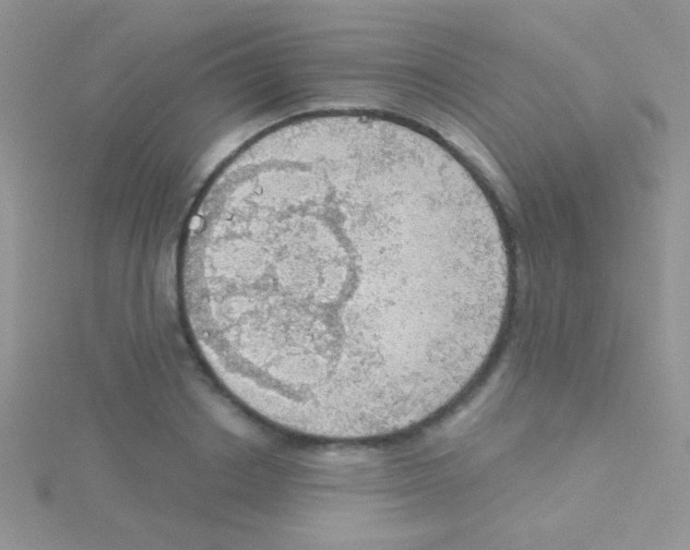 X0000115030842200911231111