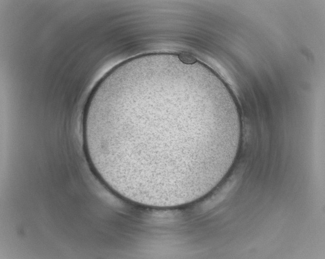 X0000115030843200911231111