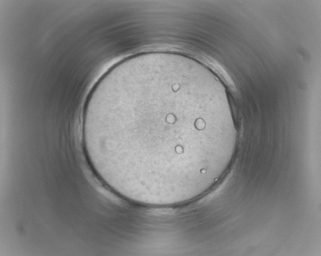 X0000115030844200911231111