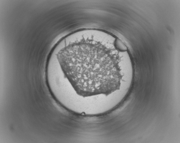 X0000115030845200911231111