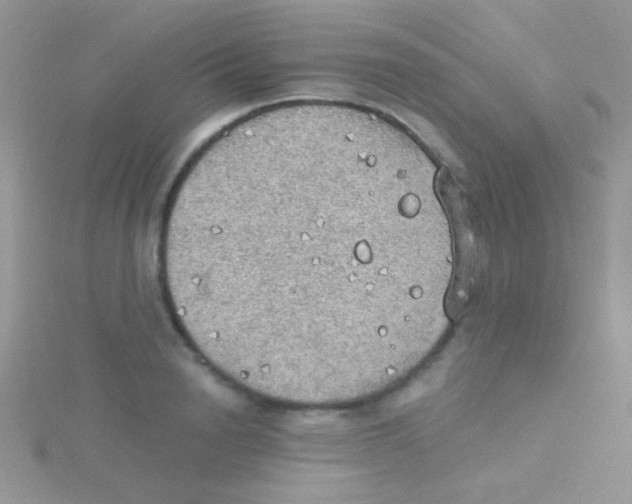 X0000115030846200911231111