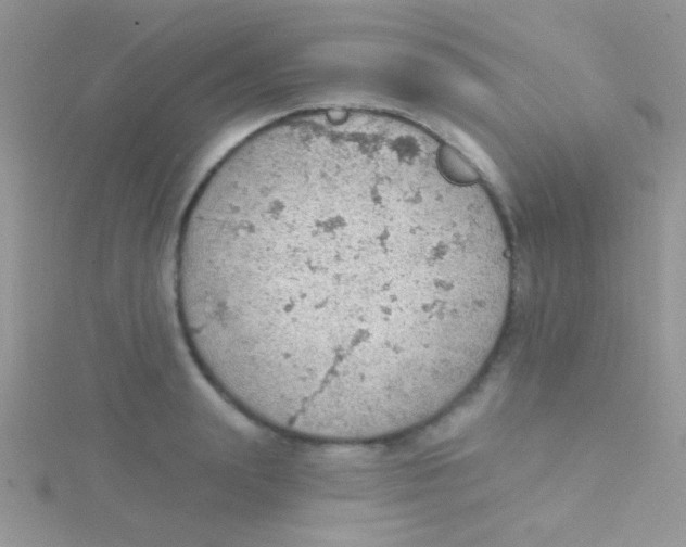 X0000115030847200911231111