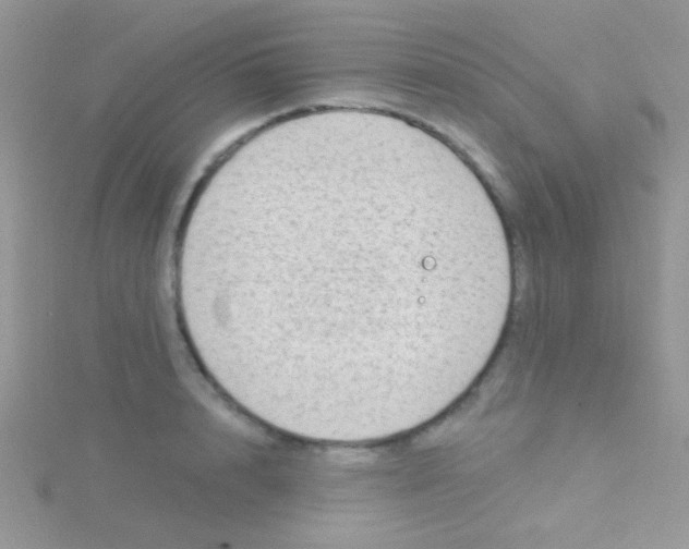 X0000115030848200911231111