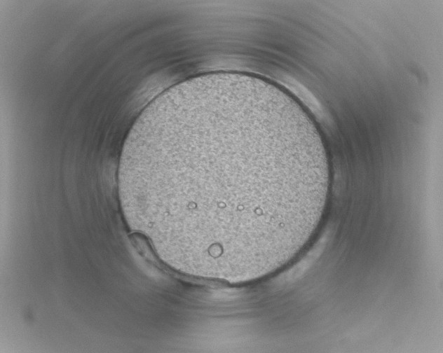 X0000115030849200911231111