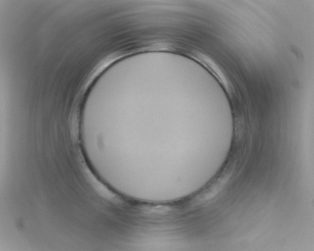 X0000115030851200911231111