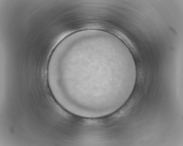 X0000115030852200911231111