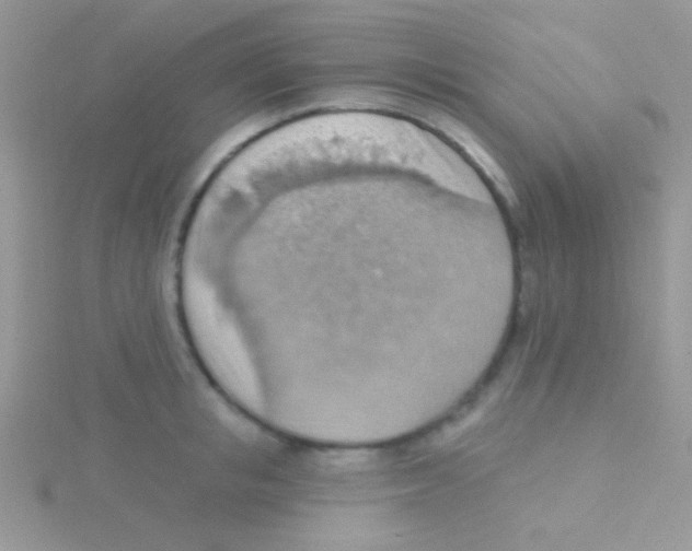 X0000115030853200911231111