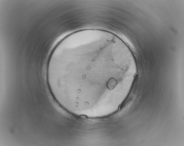 X0000115030854200911231111