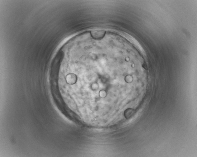 X0000115030855200911231111