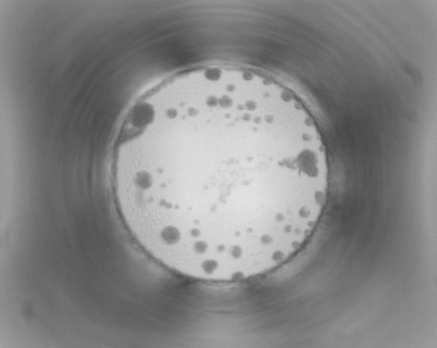 X0000115030856200911231111