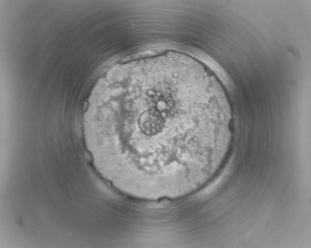 X0000115030857200911231111