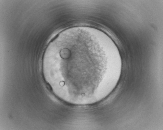 X0000115030858200911231111