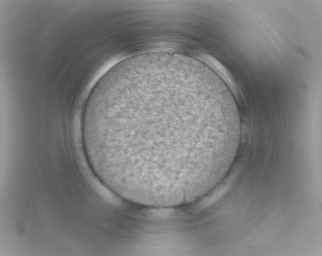 X0000115030859200911231111