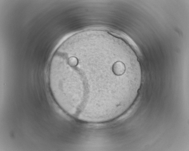 X0000115030860200911231111