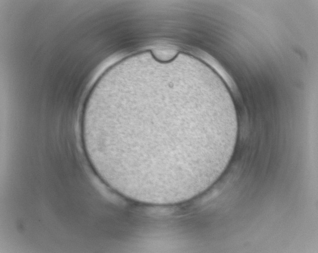 X0000115030861200911231111