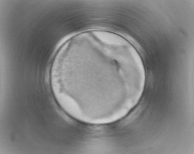 X0000115030862200911231111