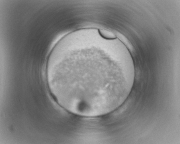 X0000115030863200911231111