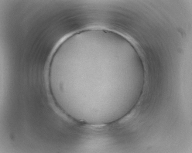 X0000115030864200911231111