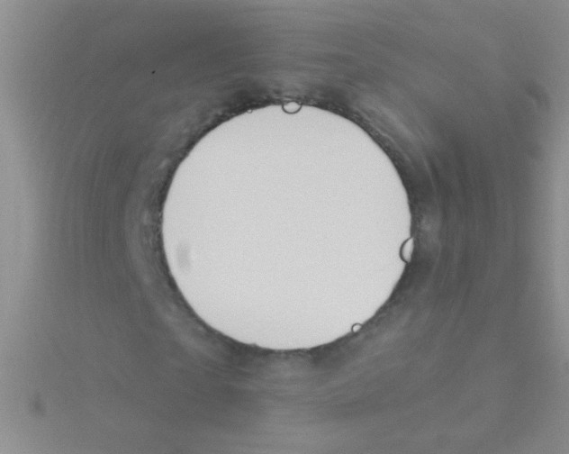 X0000115030865200911231110