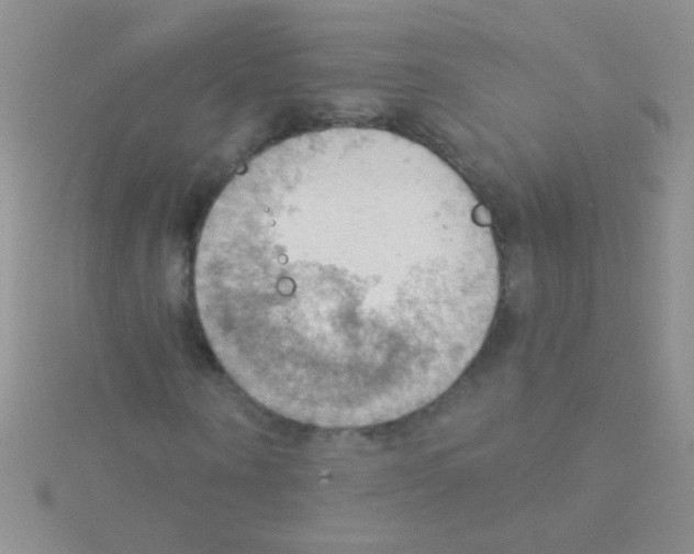 X0000115030866200911231110