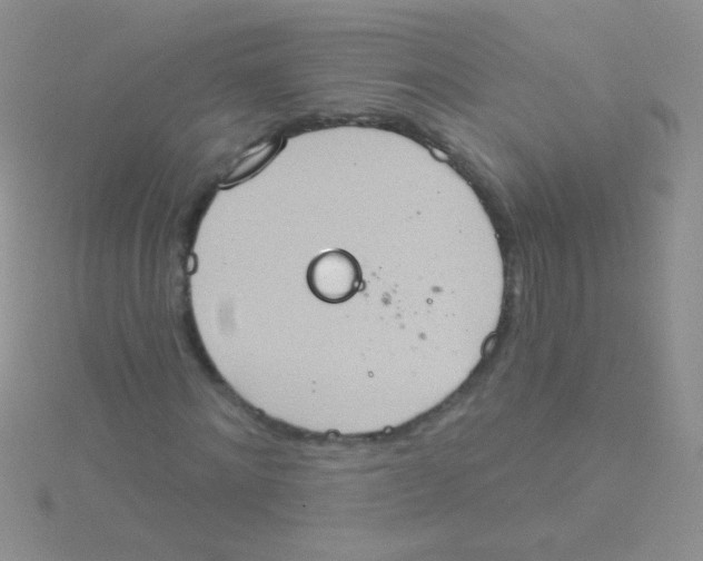 X0000115030868200911231110