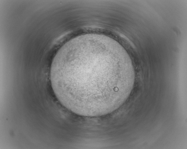 X0000115030870200911231110