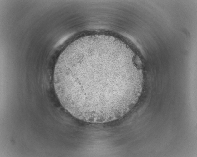 X0000115030871200911231110