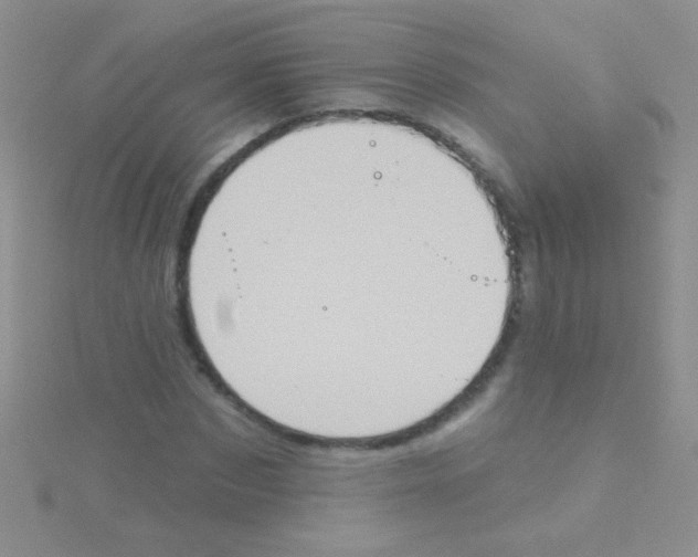 X0000115030873200911231110