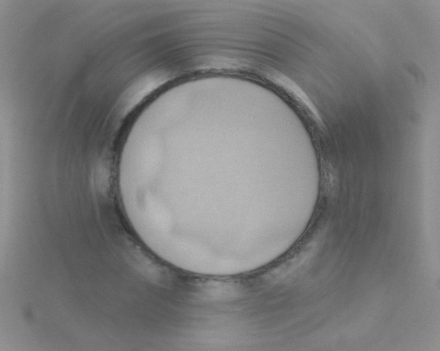 X0000115030874200911231110