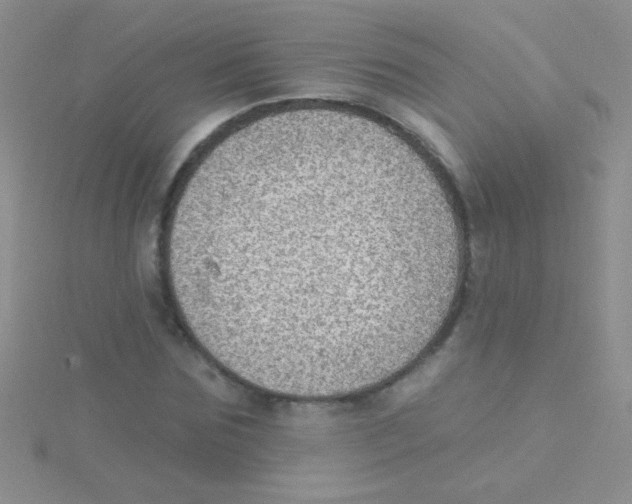 X0000115030875200911231110