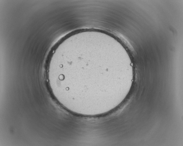 X0000115030876200911231110