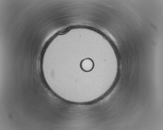 X0000115030877200911231110