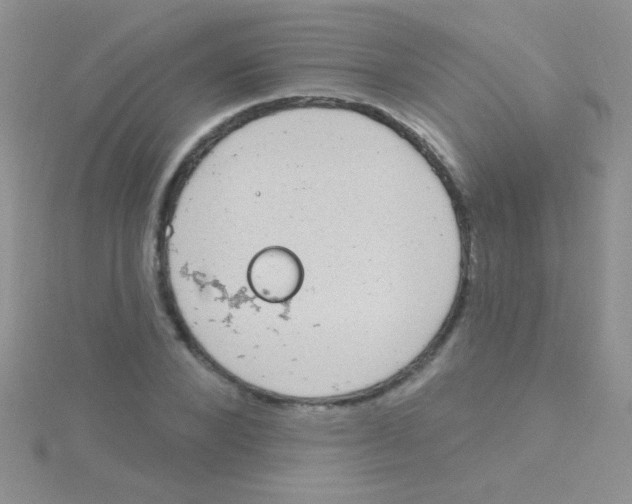 X0000115030880200911231110