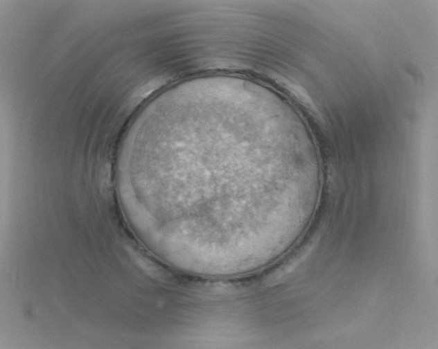 X0000115030881200911231110