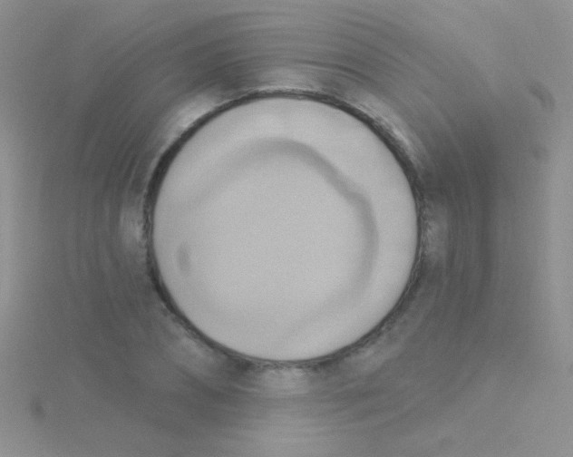 X0000115030882200911231110