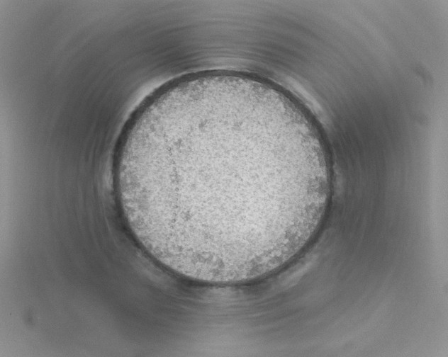 X0000115030883200911231110