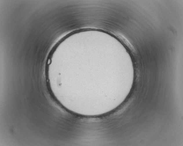 X0000115030884200911231110