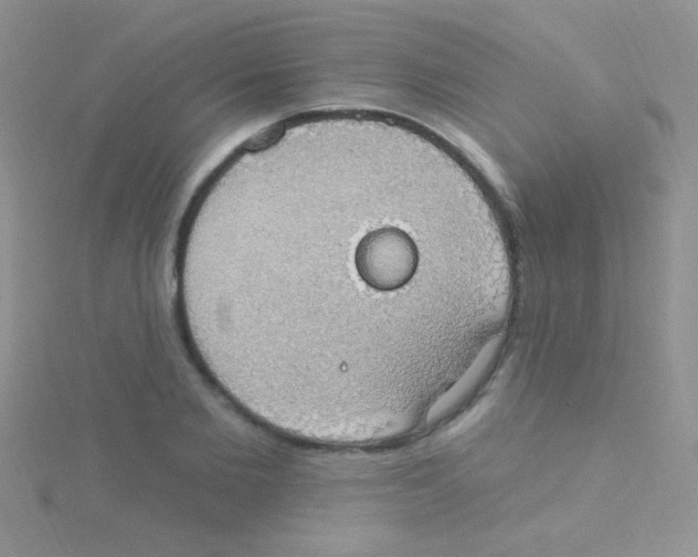 X0000115030885200911231110