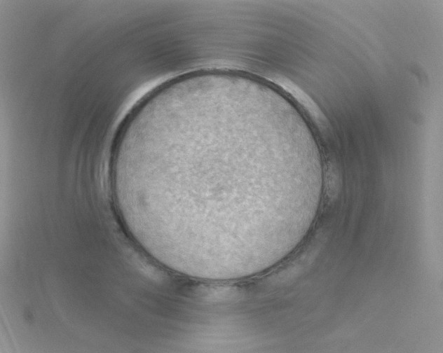 X0000115030886200911231110