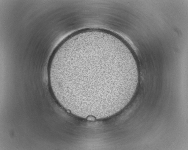 X0000115030887200911231110