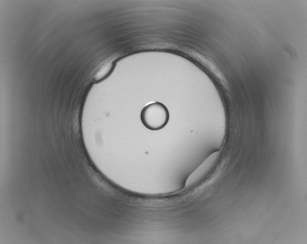 X0000115030889200911231110