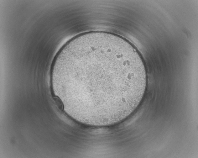 X0000115030891200911231110