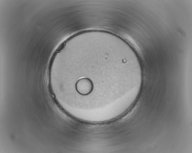 X0000115030892200911231110