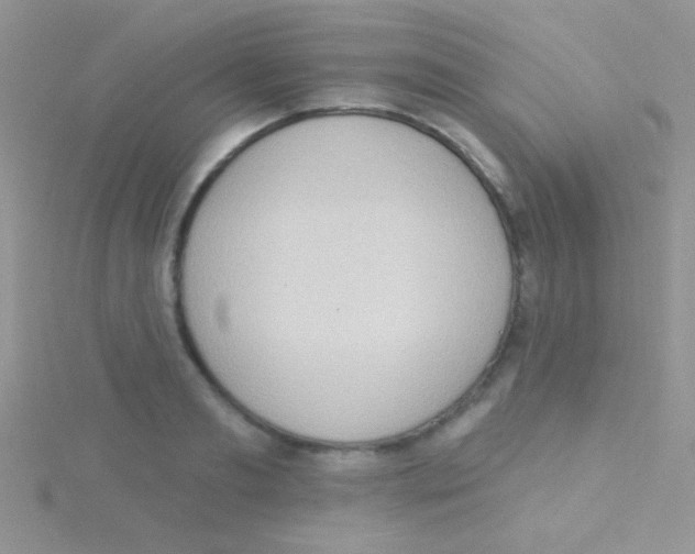 X0000115030893200911231110