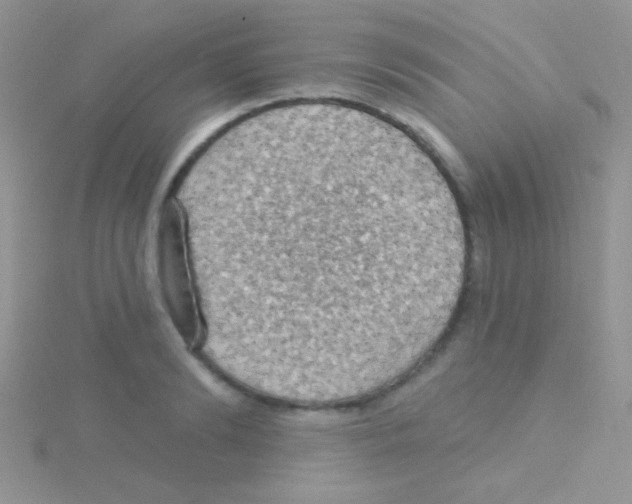 X0000115030894200911231110